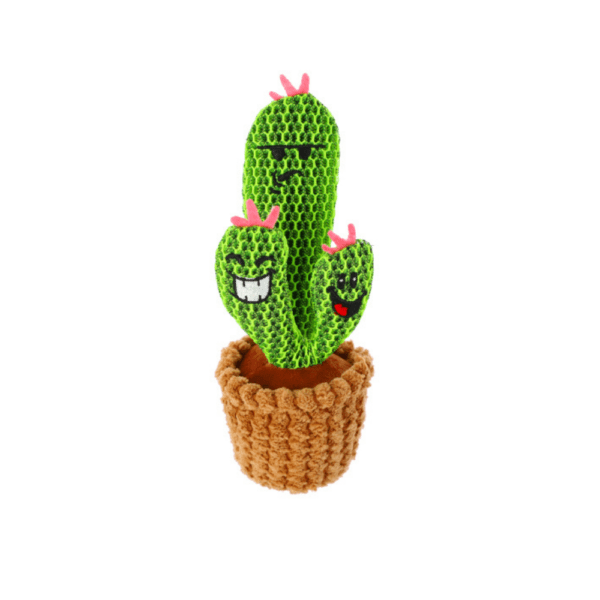 Pluszowa zabawka kaktusy dla psa Familia